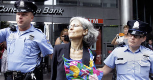 stein arrested