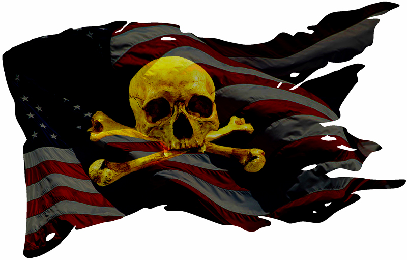 pirateFlag88